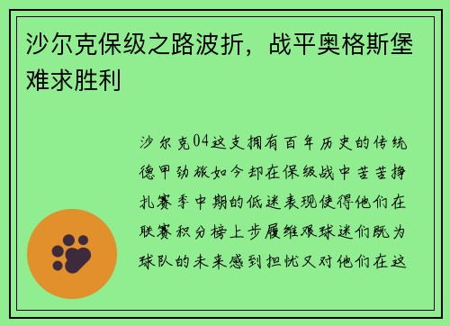 沙尔克保级之路波折，战平奥格斯堡难求胜利